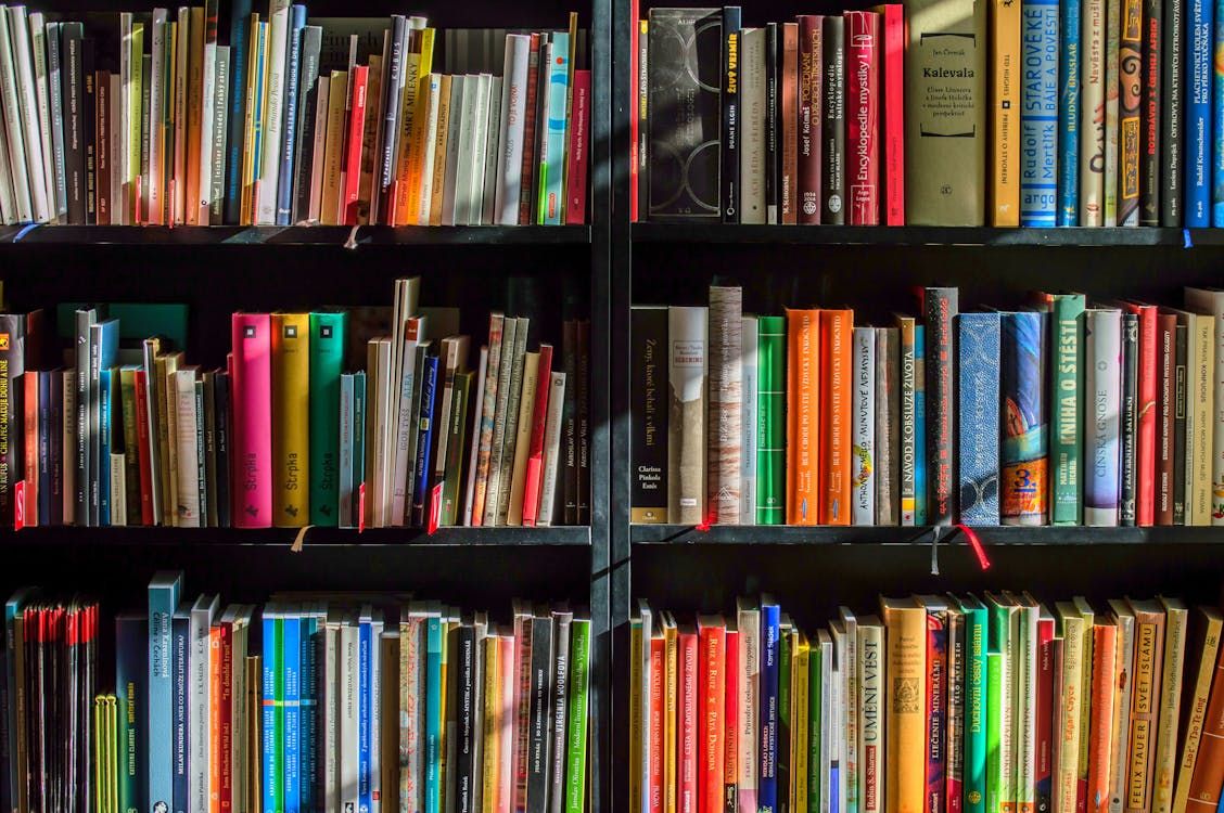 Sant Jordi: Día Mundial del Libro y del ¡Derecho de Autor!