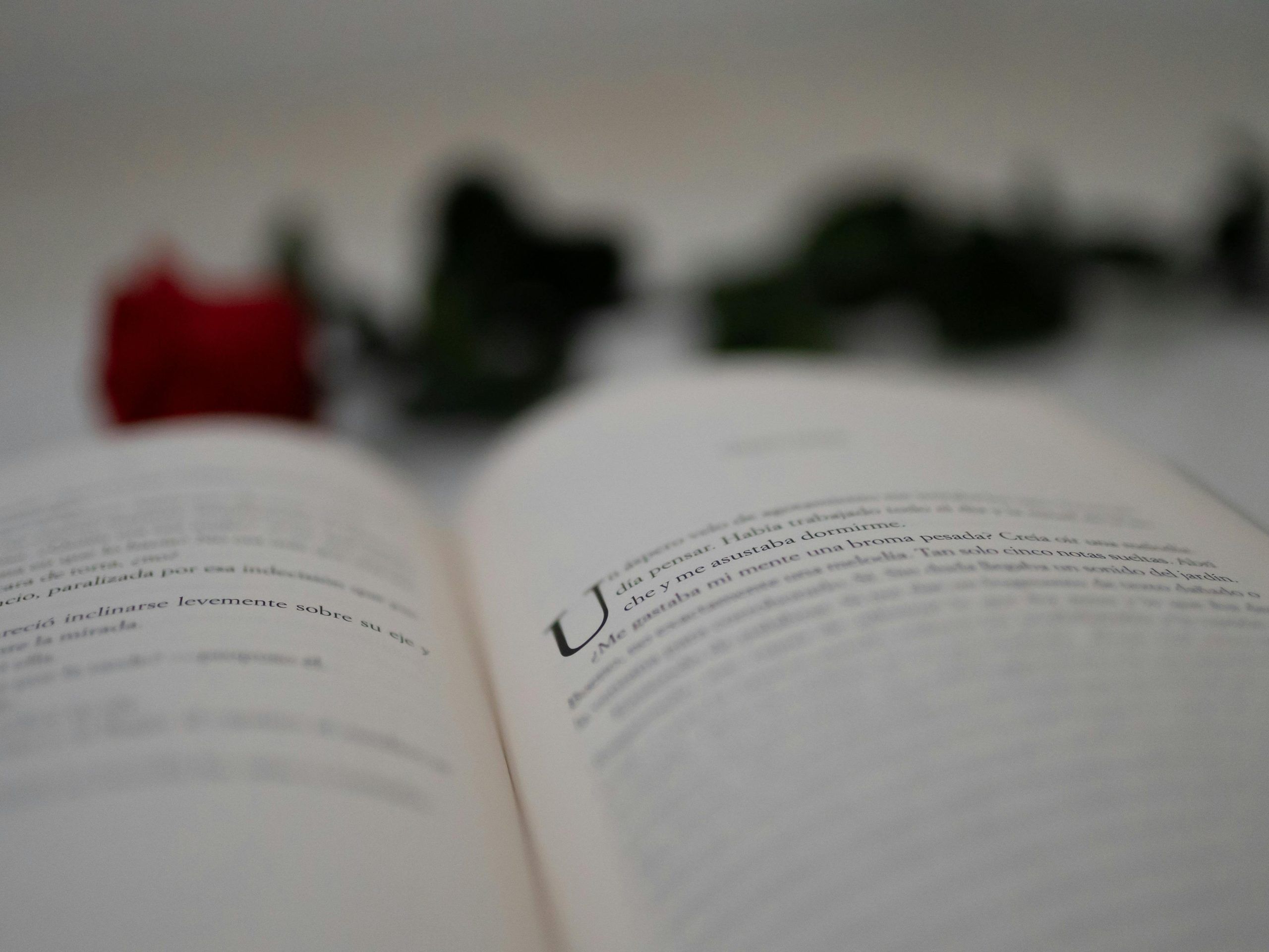 Autors amb Drets en el Dia Mundial del Llibre: Un viatge al cor de la literatura i els drets d’autor